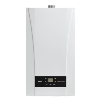 Газовый котел BAXI ECO Nova 1.24 F